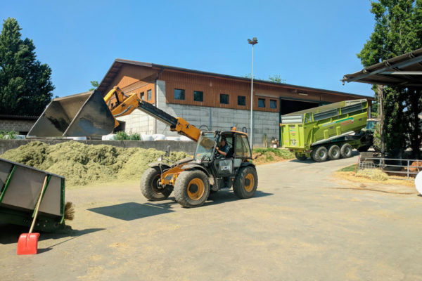 azienda-agricola-faggion-badia-polesine-rovigo36