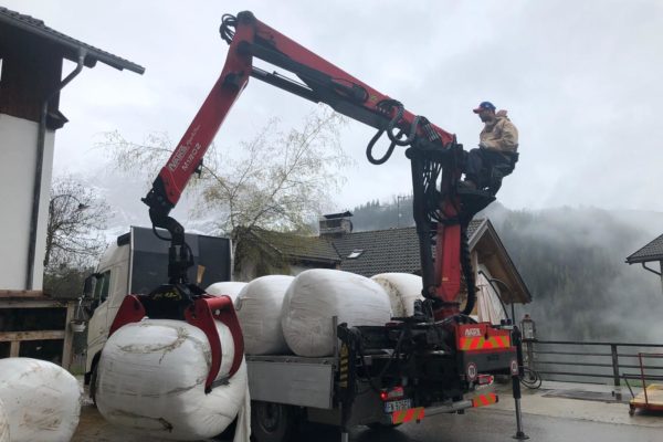 foraggi commercio e trasporto faggion veneto italia (2)